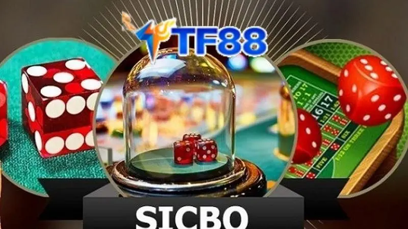 Giới thiệu chi tiết về Sicbo trên TF88